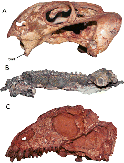 Fig. 8