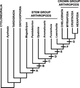 Fig. 3