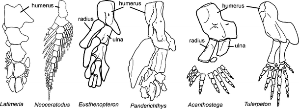 Fig. 5