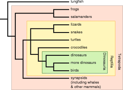 Fig. 4