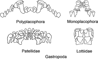 Fig. 4