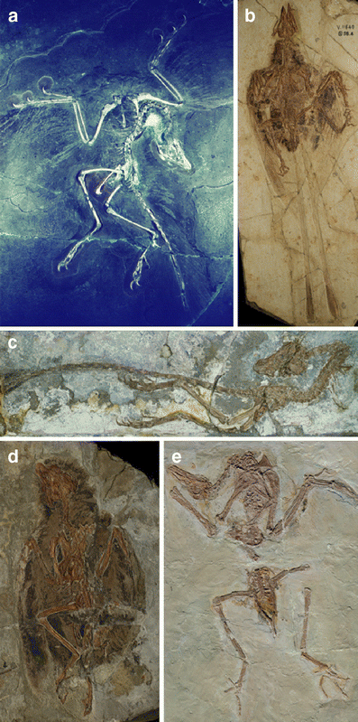 Fig. 5