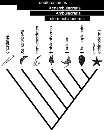 Fig. 4