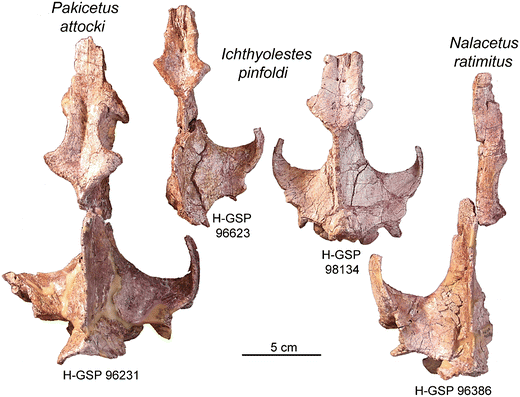 Fig. 11