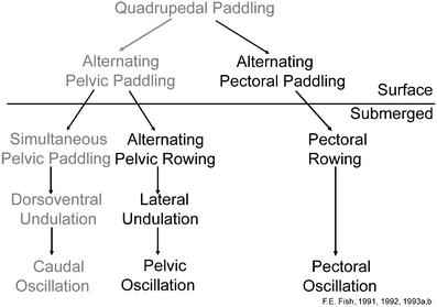 Fig. 17