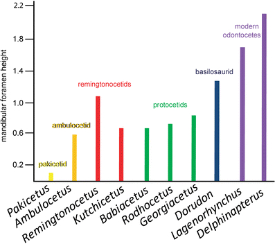 Fig. 18