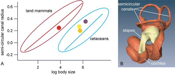 Fig. 19