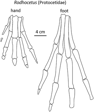 Fig. 21