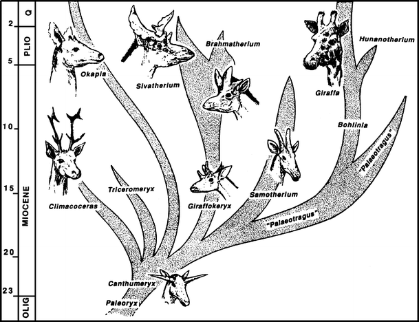 Fig. 10