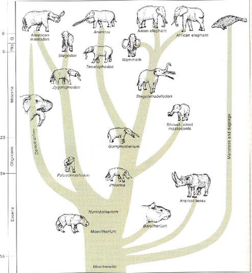 Fig. 13