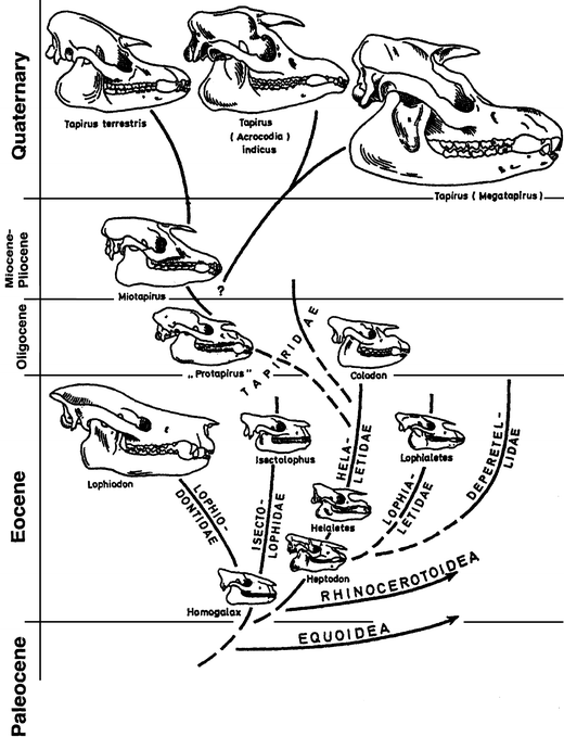 Fig. 5