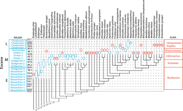 Fig. 7