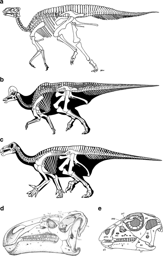 Fig. 1