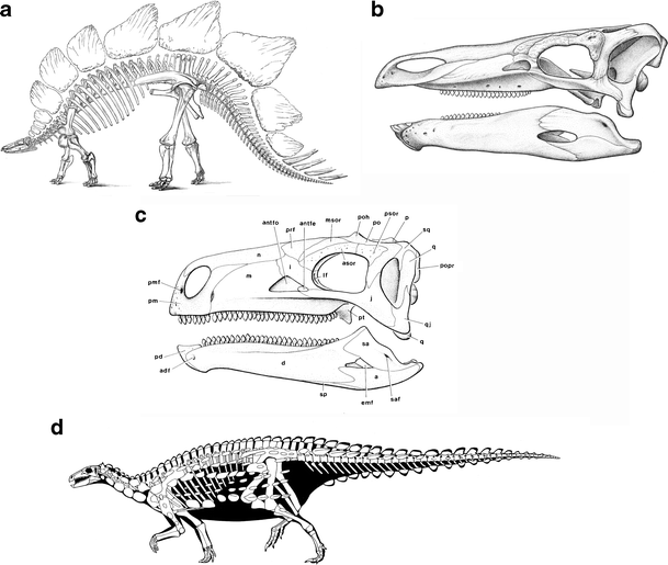 Fig. 5