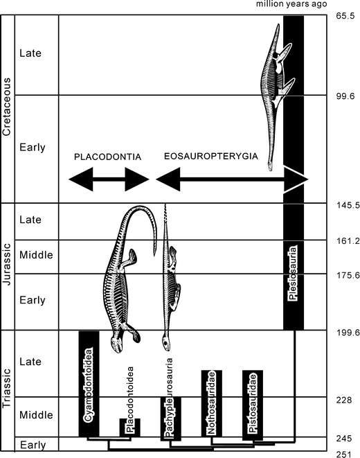 Fig. 3