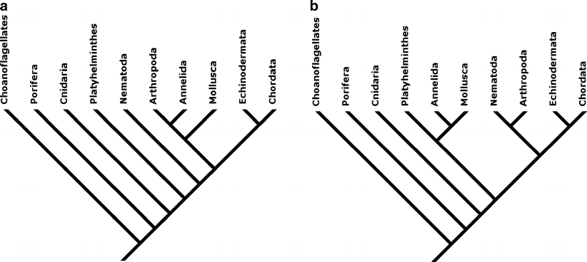 Fig. 5