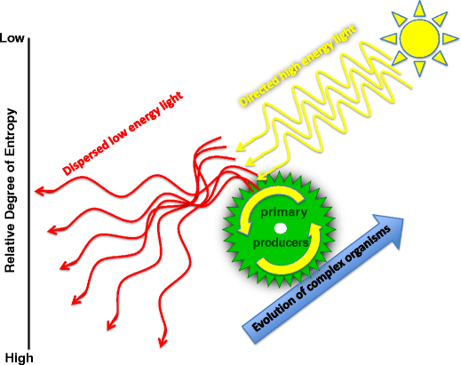 Fig. 2