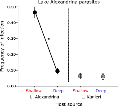 Fig. 4