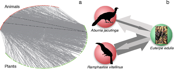 Fig. 1