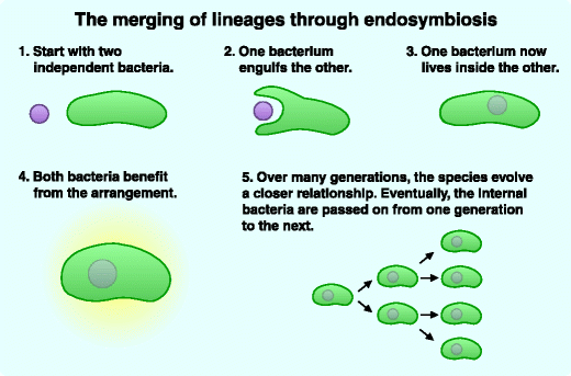 Fig. 4