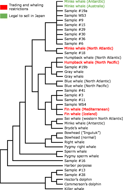 Fig. 5