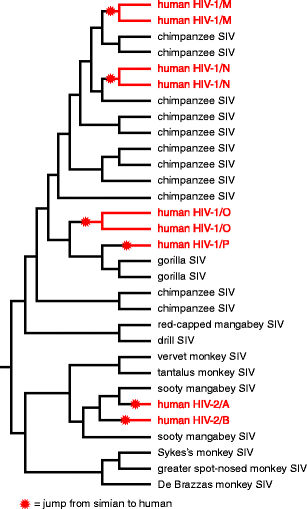 Fig. 6