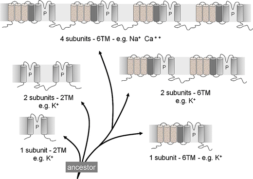 Fig. 2