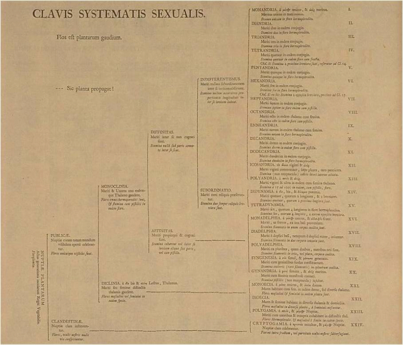 Fig. 13