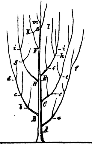 Fig. 17