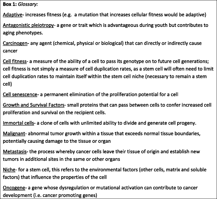 How Cancer Shapes Evolution And How Evolution Shapes Cancer Springerlink How Cancer Shapes Evolution And How Evolution Shapes Cancer Springerlink