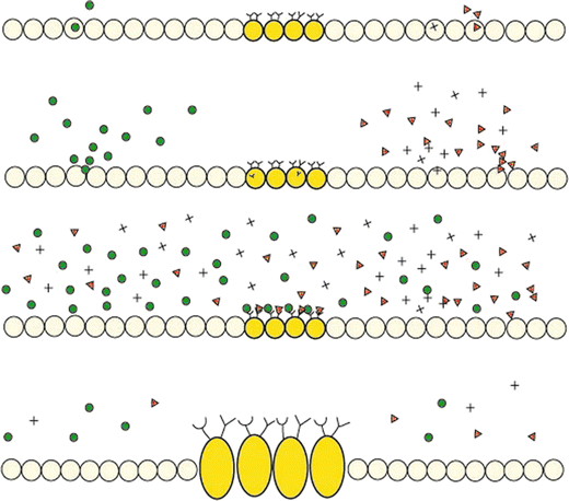 Fig. 3