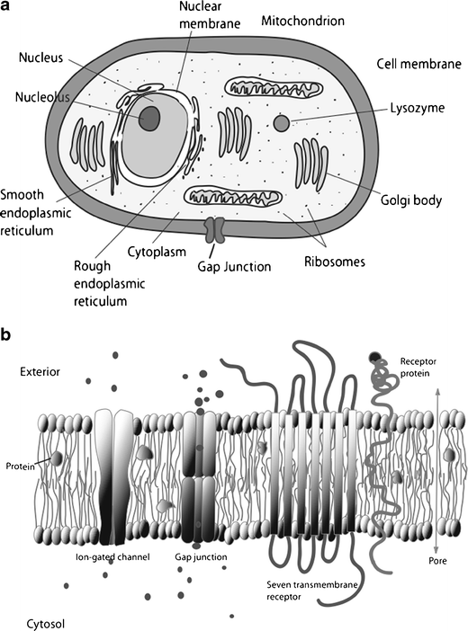 Fig. 4