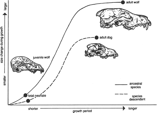 Fig. 6