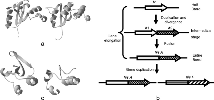 Fig. 11