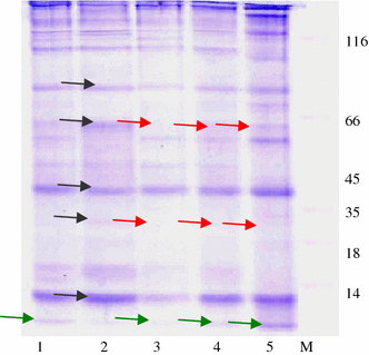 Fig. 6