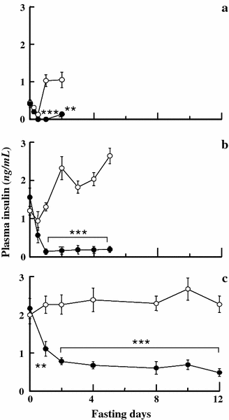 Fig. 6