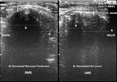 Fig. 3