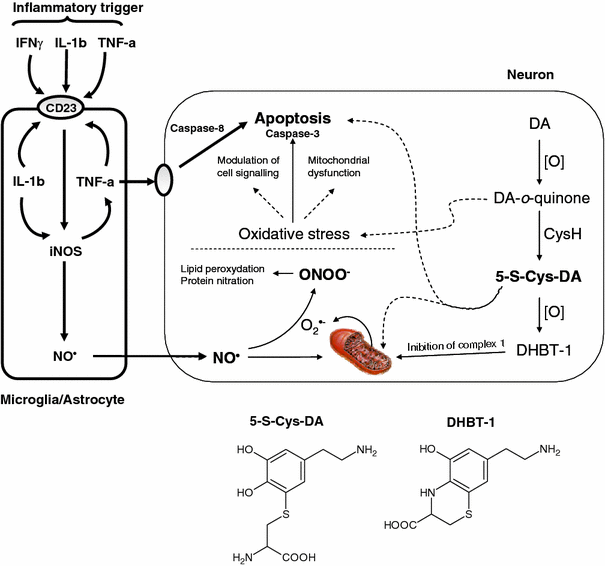 Fig. 2