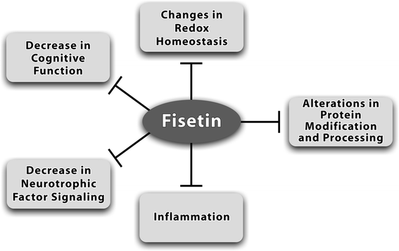 Fig. 8