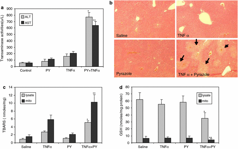 Fig. 4