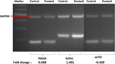 Fig. 6