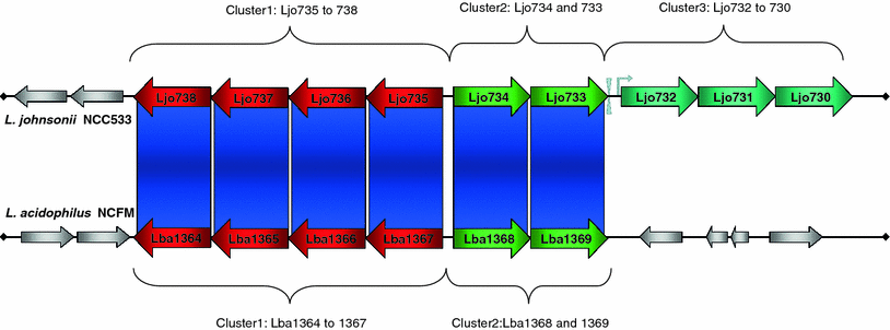 Fig. 2