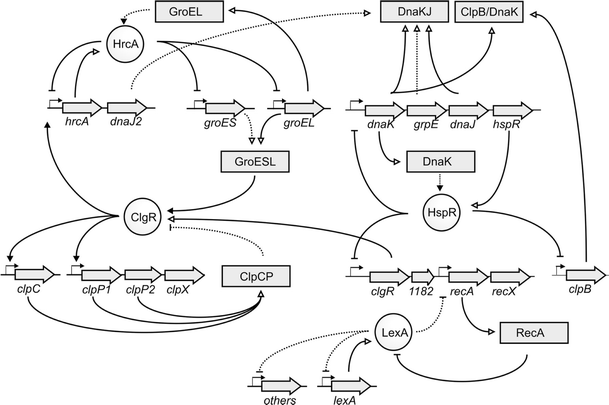 Fig. 3