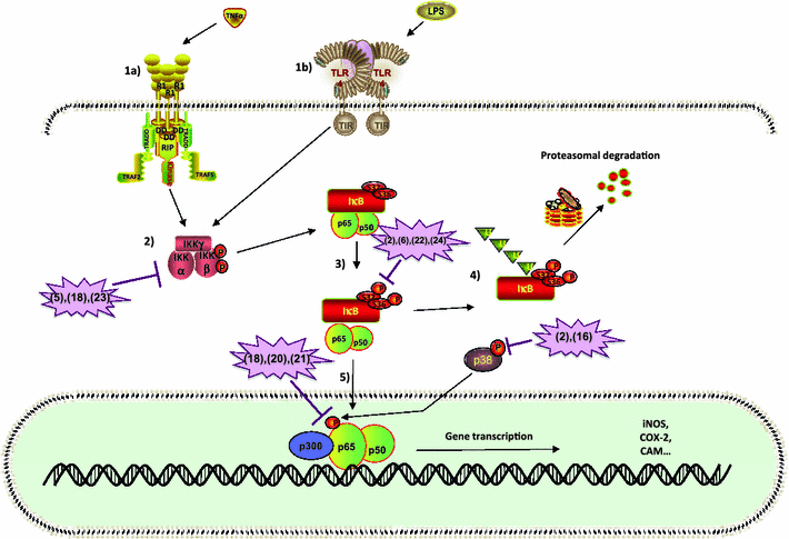 Fig. 4