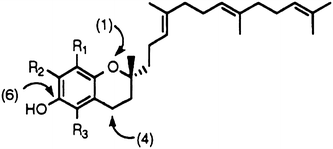 Fig. 5