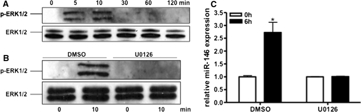 Fig. 6