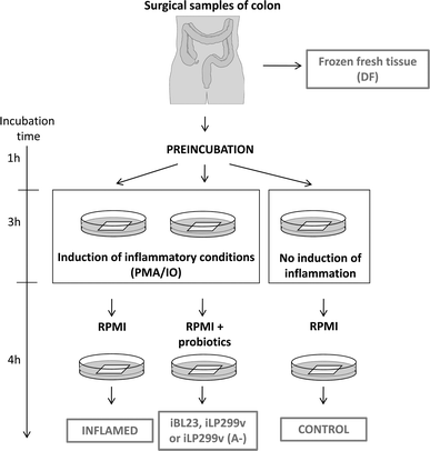 Fig. 1