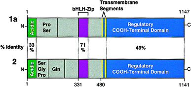 Fig. 2