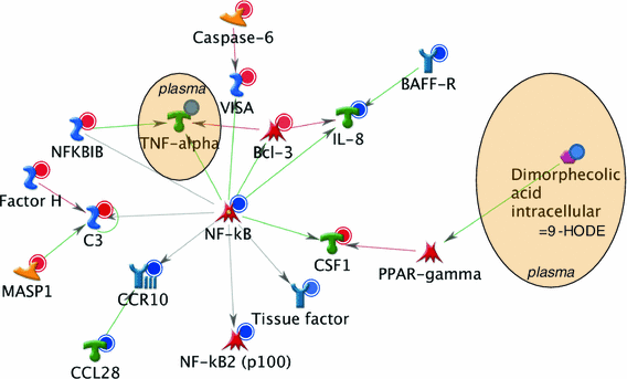 Fig. 2