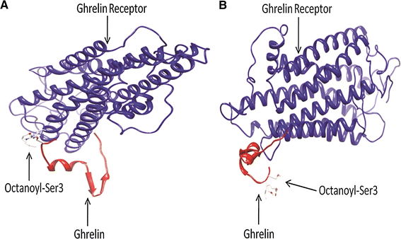 Fig. 2